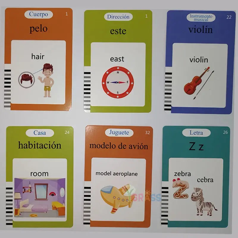 Speak-n-Learn Flash Cards - WildRoot Explorers