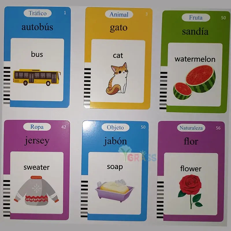 Speak-n-Learn Flash Cards - WildRoot Explorers